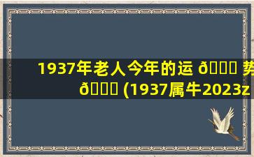 1937年老人今年的运 🐎 势 🐘 (1937属牛2023zui
危险的几个月)